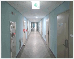  2025Ÿ��12367 �泲 �ƻ�� ��õ�� 79-14 �������޸��� 8��801ȣ     ��������Ȱ���ð��