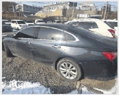  2025Ÿ��12856  �������