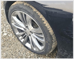  2025Ÿ��12957  �������