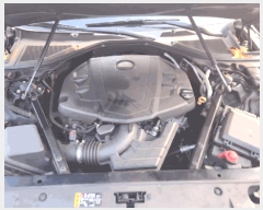  2025Ÿ��12957  �������