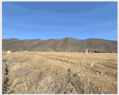  2025Ÿ��377 �泲 õ�Ƚ� ������ ������ ������ 5     ����(��)���