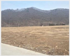  2025Ÿ��377 �泲 õ�Ƚ� ������ ������ ������ 5     ����(��)���