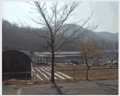  2025Ÿ��384  �����