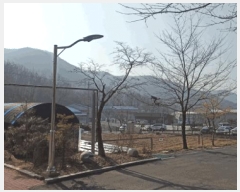  2025Ÿ��384  �����