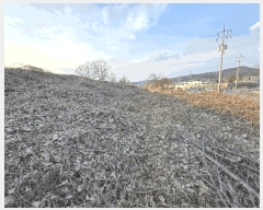  2025Ÿ399 泲 ƻ ʻ絿 215-4       (1)