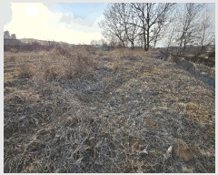  2025Ÿ399 泲 ƻ ʻ絿 215-4       (1)