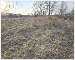  2025Ÿ399 泲 ƻ ʻ絿 215-4       (1)