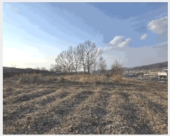  2025Ÿ399 泲 ƻ ʻ絿 215-4       (1)