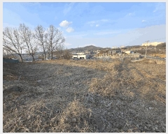  2025Ÿ399 泲 ƻ ʻ絿 215-4       (1)