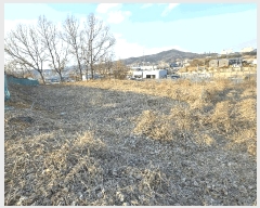  2025Ÿ399 泲 ƻ ʻ絿 215-4       (1)