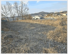  2025Ÿ399 泲 ƻ ʻ絿 215-4       (1)