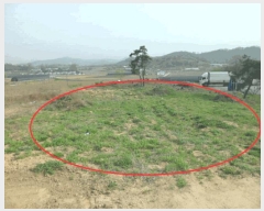  2025Ÿ467 泲 ƻ â Ű 32-2      (Ӿ)