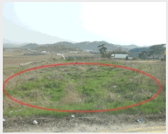  2025Ÿ467 泲 ƻ â Ű 32-2      (Ӿ)