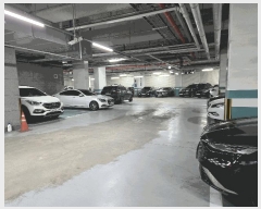  2025Ÿ476 泲 õȽ ϱ Ҵ絿 1480 罺2 5515ȣ    ,繫ǰ