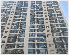  2025Ÿ��481  ����Ʈ���