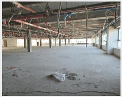  2025Ÿ485 泲 õȽ ϱ Ҵ絿 684 īŸ 4401ȣ    ,繫ǰ