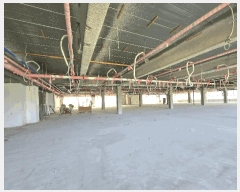  2025Ÿ485 泲 õȽ ϱ Ҵ絿 684 īŸ 4401ȣ    ,繫ǰ