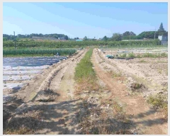  2025Ÿ��489 �泲 õ�Ƚ� ���ϱ� ��ȯ�� ���ݸ� 475-1     ����(��)���