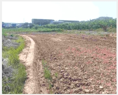  2025Ÿ��489 �泲 õ�Ƚ� ���ϱ� ��ȯ�� ���ݸ� 475-1     ����(��)���