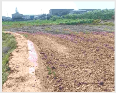  2025Ÿ��489 �泲 õ�Ƚ� ���ϱ� ��ȯ�� ���ݸ� 475-1     ����(��)���