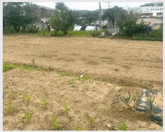  2025Ÿ505 泲 ƻ   312-4      ()