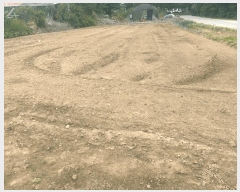  2025Ÿ505 泲 ƻ   312-4      ()