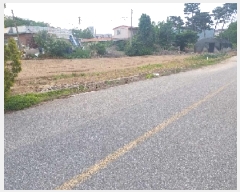  2025Ÿ505 泲 ƻ   312-4      ()