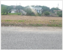  2025Ÿ505 泲 ƻ   312-4      ()