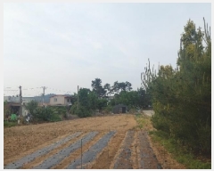  2025Ÿ505 泲 ƻ   312-4      ()