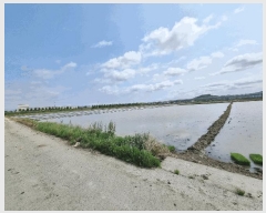  2025Ÿ��512  ����