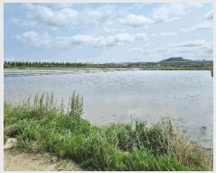  2025Ÿ��512  ����