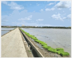  2025Ÿ��512  ����