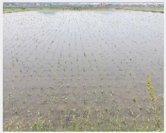  2025Ÿ��512  ����