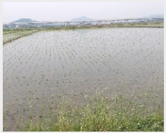  2025Ÿ��512  ����