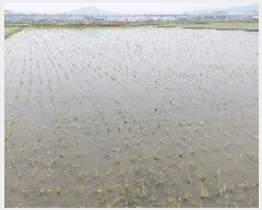  2025Ÿ��512  ����