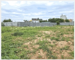  2025Ÿ538 泲 õȽ ϱ ȯ  217-30     ()