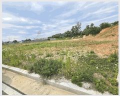  2025Ÿ��539  ���������