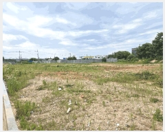  2025Ÿ��539  ���������