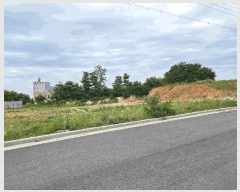  2025Ÿ��539  ���������