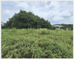  2025Ÿ��540 �泲 õ�Ƚ� ���ϱ� ��ȯ�� ������ 255-2     ����(������)���