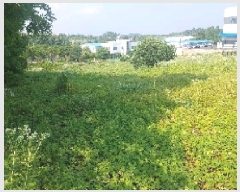  2025Ÿ��540 �泲 õ�Ƚ� ���ϱ� ��ȯ�� ������ 255-2     ����(������)���