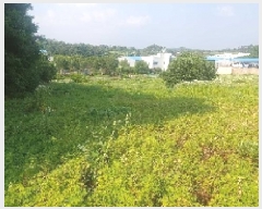  2025Ÿ��540 �泲 õ�Ƚ� ���ϱ� ��ȯ�� ������ 255-2     ����(������)���