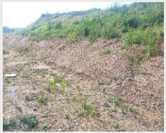  2025Ÿ��540 �泲 õ�Ƚ� ���ϱ� ��ȯ�� ������ 255-2     ����(������)���