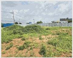  2025Ÿ541 泲 õȽ ϱ ȯ  217-38     ()