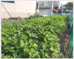  2025Ÿ��609 �泲 õ�Ƚ� ������ �Ź浿 57-8      ����(��1)���