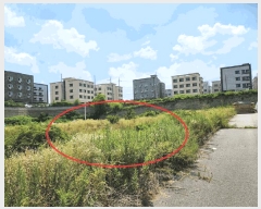  2025Ÿ��622 �泲 �ƻ�� ������ ���۸� 290-6      ����(����)���