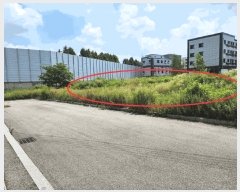  2025Ÿ��622 �泲 �ƻ�� ������ ���۸� 290-6      ����(����)���