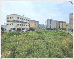  2025Ÿ623 泲 ƻ  ۸ 290-108      (1)