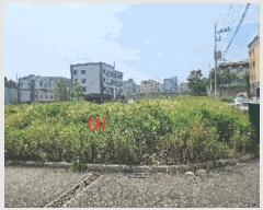  2025Ÿ623 泲 ƻ  ۸ 290-108      (1)