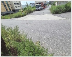  2025Ÿ623 泲 ƻ  ۸ 290-108      (1)